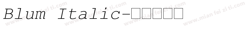 Blum Italic字体转换